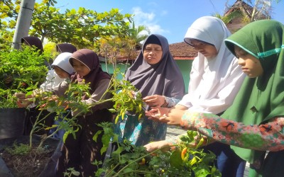 Peringati Hari Pangan Sedunia 2026, Murid SMP Negeri 1 Poncowarno Tanam Sayuran dan Tanaman Obat